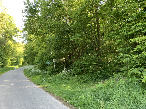 Devant le panneau Forêt Syndicale de la Muette, s'ouvre discrètement le chemin d'Ecorchevache. Le chemin sépare le bois privé de la forêt syndicale. Ancienne propriété de l'abbaye de Saint-Ouen de Rouen, la forêt appartient depuis 5 siècles à un syndicat de communes (17 paroisses devenues 13 communes). Contrairement aux habituels syndicats intercommunaux, celui-ci leur apporte des revenus !