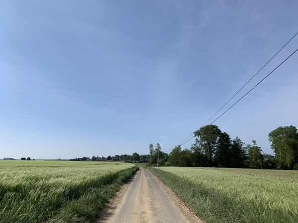 Nous suivons maintenant la rue du Vieux Château (qui n'existe plus), en direction de Préaux. A l'entrée du bourg, nous passerons devant le château du Bout-de-la-Ville, mais il est caché par ses arbres.