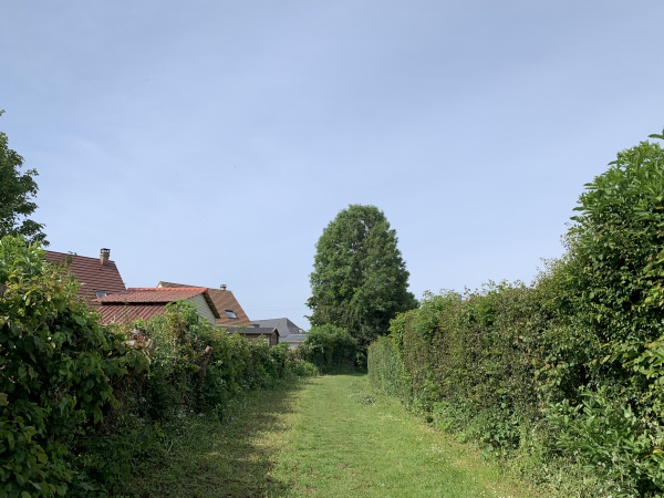 Nous entrons dans Préaux par le chemin qui prolonge la rue des Champs.