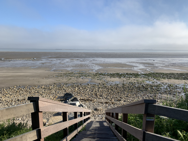 Nous descendons vers la plage. Nous avons choisi la marée basse pour marcher sur le sable ferme.
