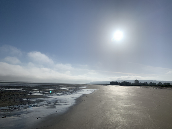 Nous marchons 2 kilomètres dans les paysages de cette longue plage de l'estuaire de la Seine.
