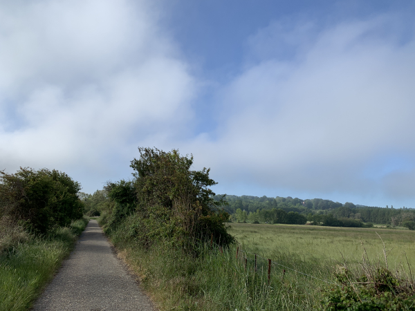 Nous suivons le Chemin de la Mer dans les marais jusqu'à la D513 que nous traverserons pour rejoindre le Chemin de la Forge.