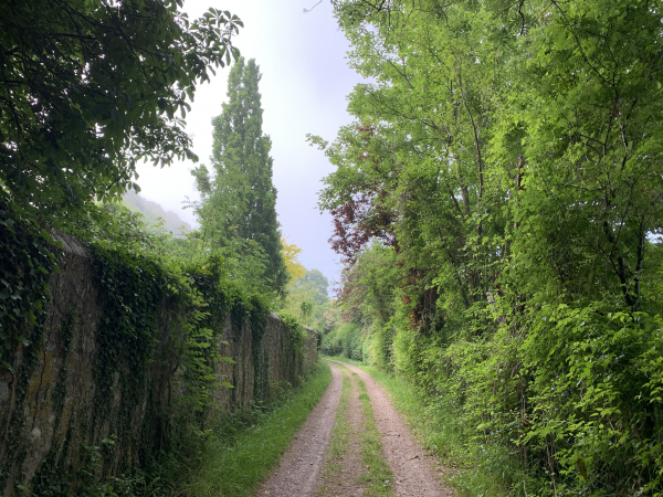 Chemin du Marmion. Derrière les arbres se trouve le château de Blosseville.