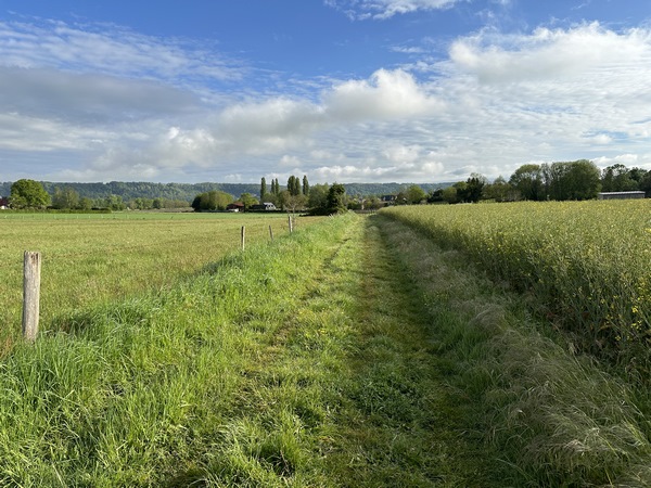 Nous sortons du bourg par le chemin des Cateliers.