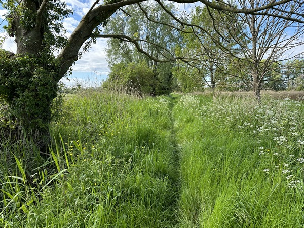 En face de Caudebec, nous prenons ce sentier qui se dirige vers le hameau de Port Caudebec. En période humide, il faut prendre la route du Bac à 300 mètres.