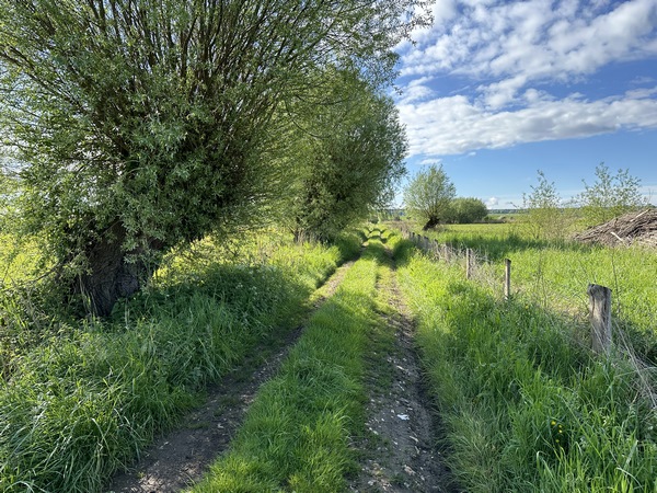 Nous contournons le hameau de Port Caudebec par les chemins des Prairies de Barre-y-Va. Prairies inondables comme leur nom l'indique, mais chemin toujours hors d'eau.