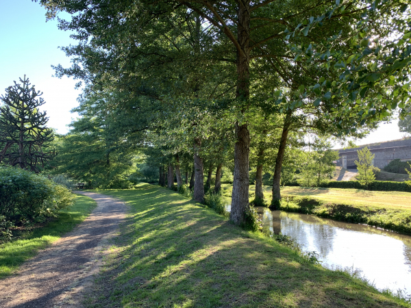 Nous suivons le chemin principal du parc qui longe le Rouloir, puis tourne le long du coteau.