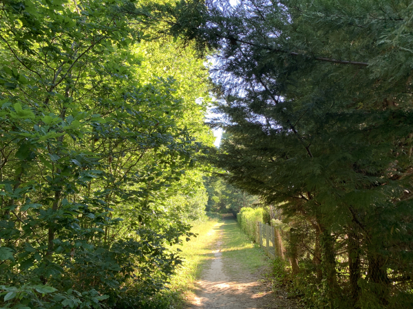 Un chemin, la Ligne du Clos Doré, est aménagé entre les habitations et la D840.
