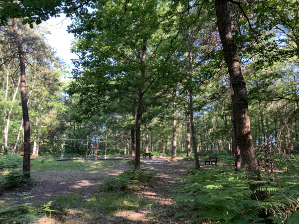Nous traversons brièvement le Grand Parc en direction de Goupigny.