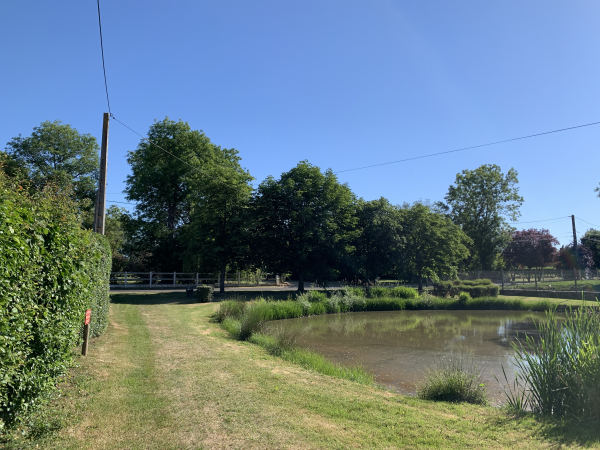 Nous montons à la Haute-Croisille. Notre chemin longe la mare aménagée au centre du bourg.