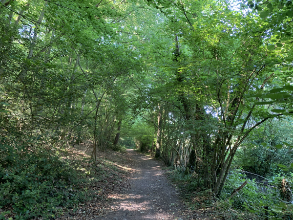 Nous sommes sur le GR222, à notre droite le Rouloir alimente de nombreux étangs dont certains sont aménagés pour la pêche.