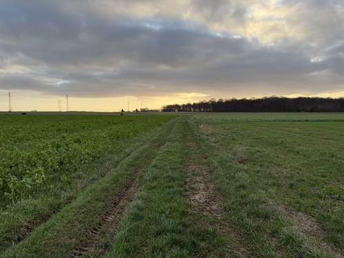 Nous quittons le GR2 et traversons la plaine des Caillettes. Nous allons rapidement retrouver la forêt que l'on voit déjà en face.