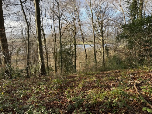 En cette saison, on distingue la Seine entre les arbres.