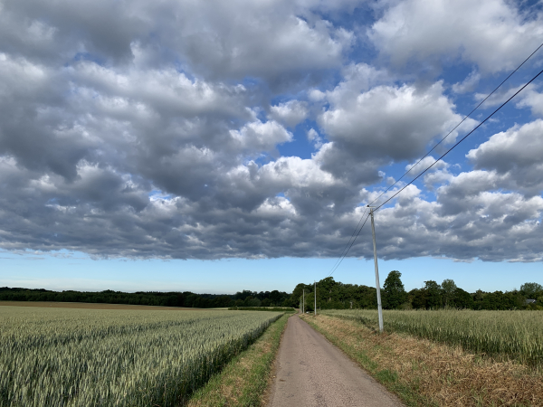 Nous partons du centre de Limésy et prenons l'Impasse du Mont Auger entre les champs de blé et d'orge. Le ciel, très photogénique, est encore un peu chargé.
