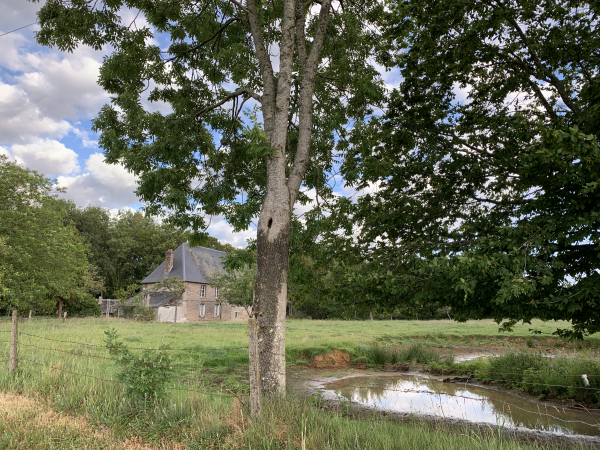 Nous arrivons au lieu-dit du Mont Auger, l'impasse devient un chemin.