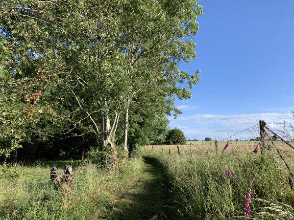 Chemin du Mont Rôti.
