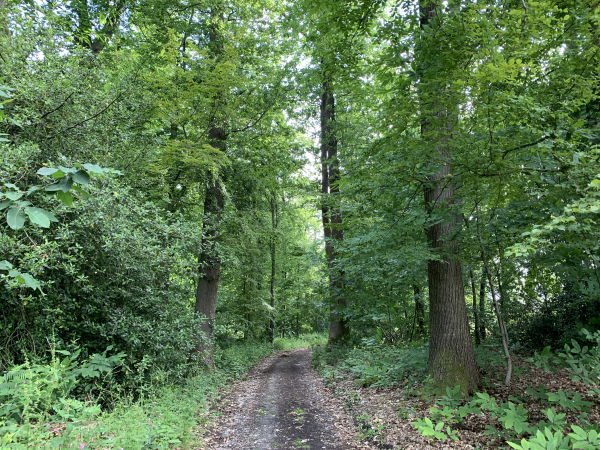 Peu après le pont, nous montons vers le lieu-dit du Grand Brunville. Pas d'inquiétude avec les panneaux de propriété privée, ils concernent le bois à droite du chemin.