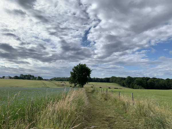 Nous traversons la plaine de Petit Brunville. Les chemins ne sont pas très nombreux sur ce circuit, mais plusieurs sont très agréables, comme celui-ci.