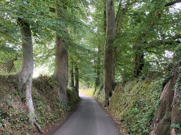 Nous quittons le bourg de St-Clair-sur-les-Monts en longeant le château de Mézerville, caché par ses murs et ses arbres, et suivons les petites rues, ici entre talus et hêtres.