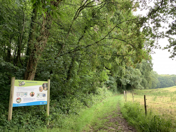 Le chemin, qui monte en pente douce sur le plateau, est agrémenté de panneaux pédagogiques du SMEDAR.
