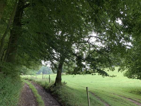 Cet itinéraire est beaucoup plus beau que ce que nous avions imaginé, nous sommes revenus enchantés de cette petite rando, et la pluie ne nous a vraiment pas gênés.