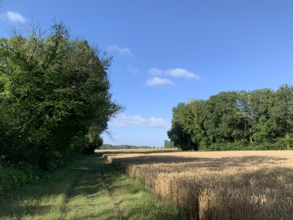 Nous n'entrons pas dans Fourges, mais suivons le chemin qui va rejoindre la berge de l'Epte.