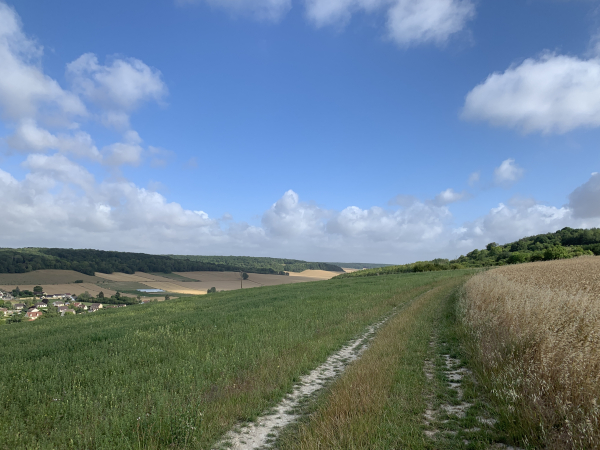 Ce chemin de crête est bordé par la vallée de l'Epte à droite et le vallon du Mesnil-Milon à gauche.