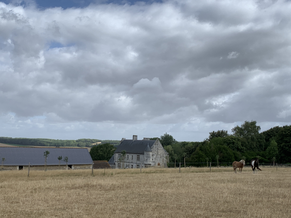Nous arrivons à Bus-St-Rémy, et passons au-dessus du manoir du Bus (XVe XVIe). Le manoir est surnommé manoir de la Reine Blanche parce qu'il aurait hébergé Blanche de Castille pendant sa visite à l'abbaye du Trésor toute proche. Problème : la mère du roi Saint-Louis est morte bien longtemps avant la construction du manoir... Mais il existait sans doute une forteresse médiévale avant le manoir.