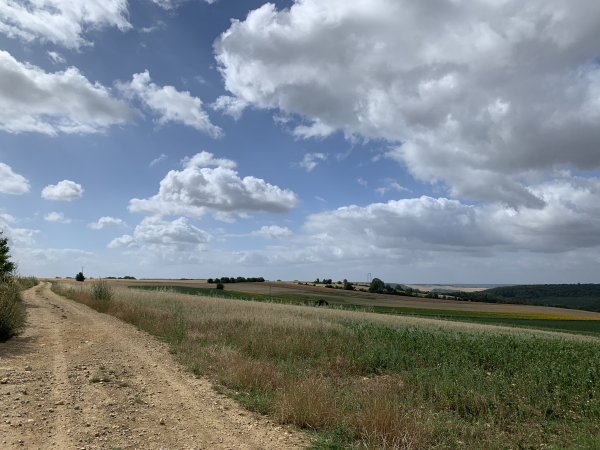 Après le hameau de la Villeneuve, nous suivons ce chemin dans la plaine du Coq Sauvage, au-dessus de la Grande Vallée.