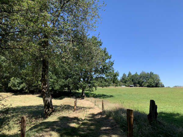 Chemin de la Mare à Bâche.
