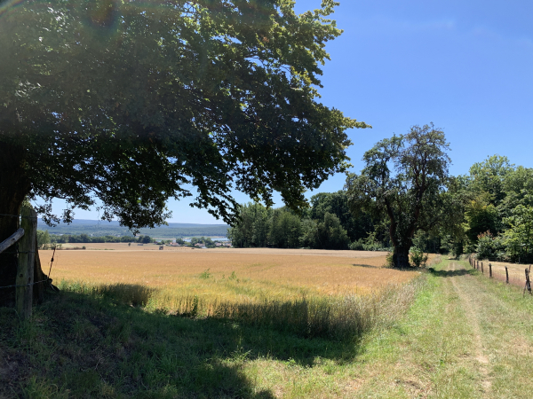 Chemin de la Poulterie, on peut apercevoir la Seine avant d'entrer dans le bois.