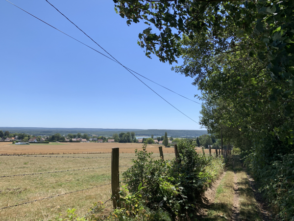 Quand le chemin passe en lisière du bois de Caumont, on aperçoit la Seine et la forêt domaniale de Brotonne sur l'autre rive.