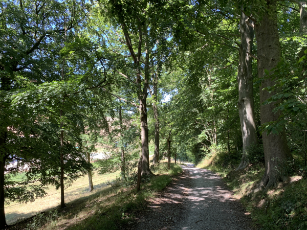 Avant d'arriver à Cantepie, nous tournons vers le nord et suivons le GR2 en lisière du Bois de Caumont.