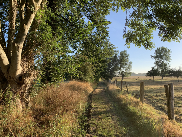 Les paysages du Roumois sont toujours de charmants décors de randonnées, et, ce qui ne gâte rien, ici les chemins sont parfaitement entretenus.