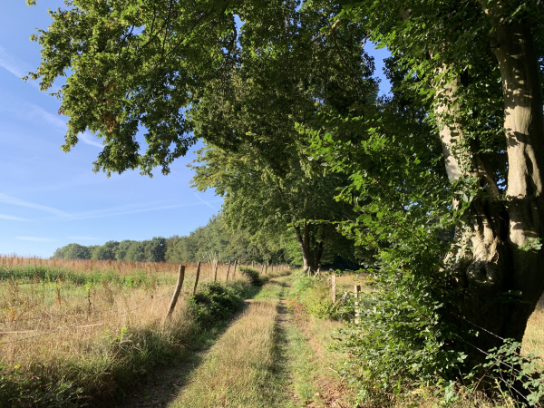 Nous suivons le Chemin de la Grotte jusqu'au Chemin de la Croix Sainte-Marie.