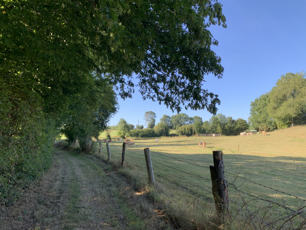 Chemin en direction de la rue du Criquet.
