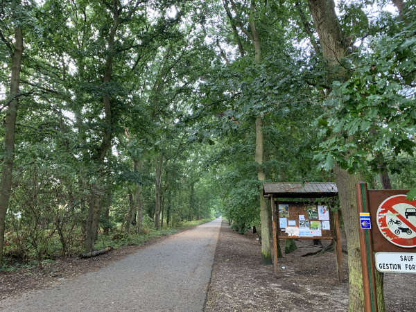 Après le Zénith, nous entrons dans la Forêt du Madrillet (régulièrement menacée de bétonnage) et la Forêt domaniale de La Londe-Rouvray. Pour la proportion routes/chemins, je n'ai pas compté ces routes forestières goudronnées comme chemins. On voit, à droite, les balises du Chemin de St-Jacques.