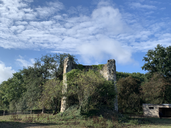 Sur le coteau nord de la Seine, nous passons près de ce vestige du moulin du Catelier, près du château de l'Herminier.