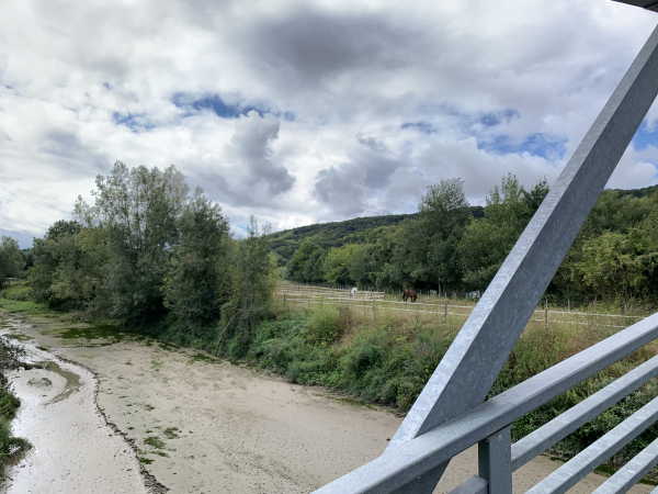 Notre chemin longe les marais de l'Île du Noyer. Nous avons oublié de suivre le sentier récemment aménagé dans les marais et avons suivi le Chemin de Halage.