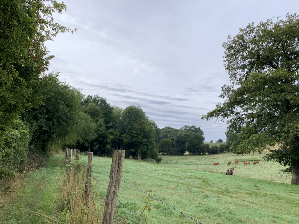 Nous suivons le chemin du Fond-de-l'Est jusqu'au hameau de La Campagne.