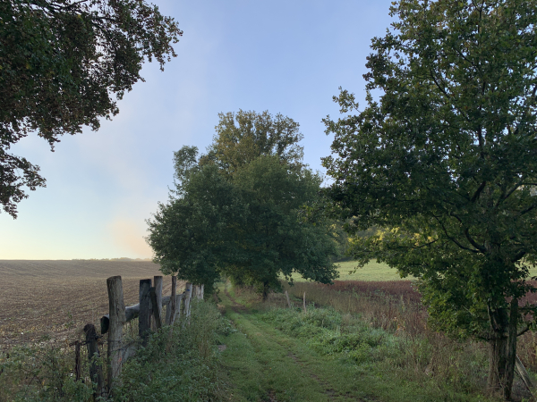 Nous avons rejoint le GR224. Ce GR suit la Risle dans sa vallée et sur ses coteaux. Nous le suivons ici dans la direction de Beaumont-le-Roger.
