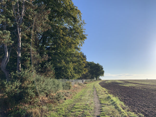 Nous contournons Barc au nord et à l'est au travers des plaines agricoles.