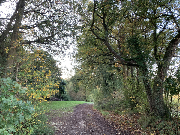 Le chemin descend dans la vallée en traversant des bois. Un lieu-dit voisin "Les Vignes", nous suggère que ce coteau n'a pas toujours été couvert d'arbres.
