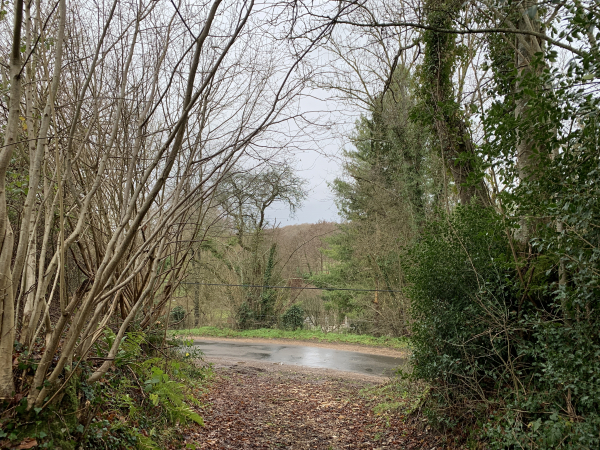 Nous ne quittons le bois qu'en arrivant sur la petite route de Carentonne, le long de la Charentonne.