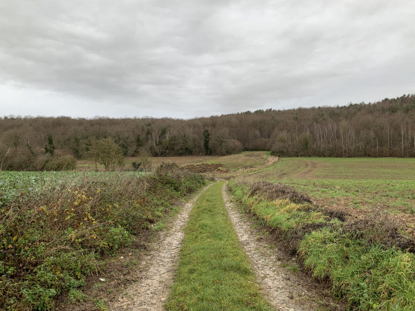 Au hameau de Camfleur, nous montons vers le bois de Courcelles.