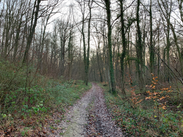 Nous partons du stationnement aménagé le long de l'aire de détente en bordure de la rue de Pacy (D164), et nous montons la rue de Gaillon, le chemin des Vallées et celui du Val Noël pour rejoindre Ingremare.