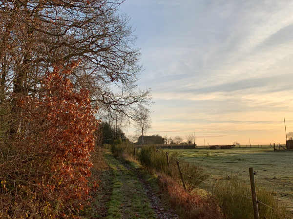 Nous arrivons à Ingremare, nous n'allons pas entrer dans le bourg mais poursuivre notre circuit sur les chemins qui traversent la plaine agricole d'Ailly.