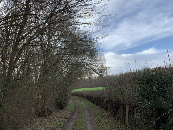 Le chemin des Tuileries nous monte en pente douce vers Barc.