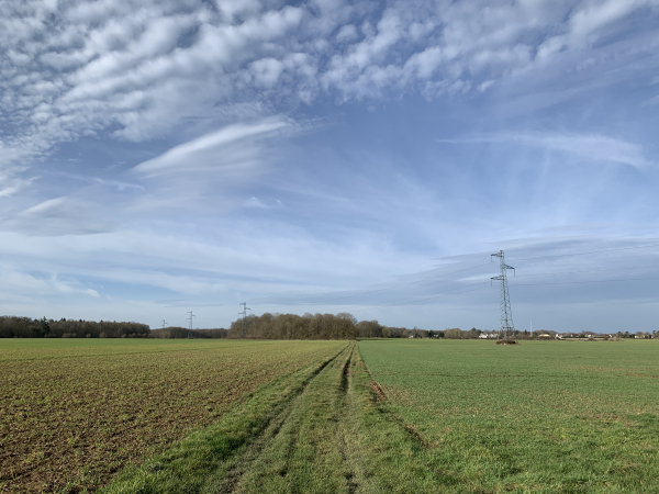 A la sortie des bois, nous traversons la plaine agricole de Conchez.