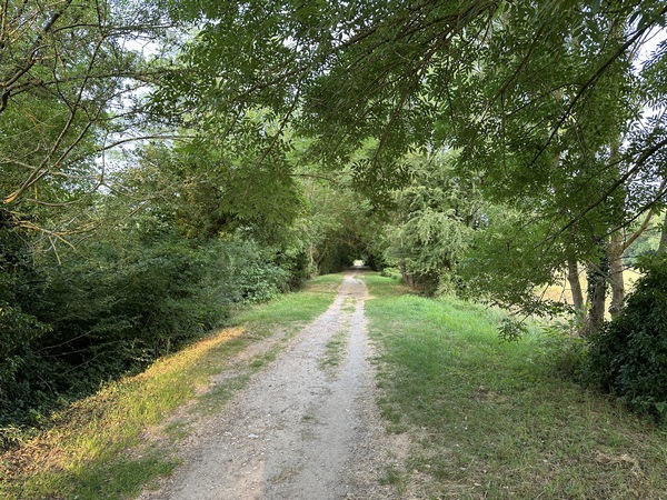 Avant d'entrer au cœur de Saint-Aubin, notre chemin devient une élégante allée bordée d'arbres.